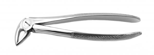 Extracting Forceps Nr. 33